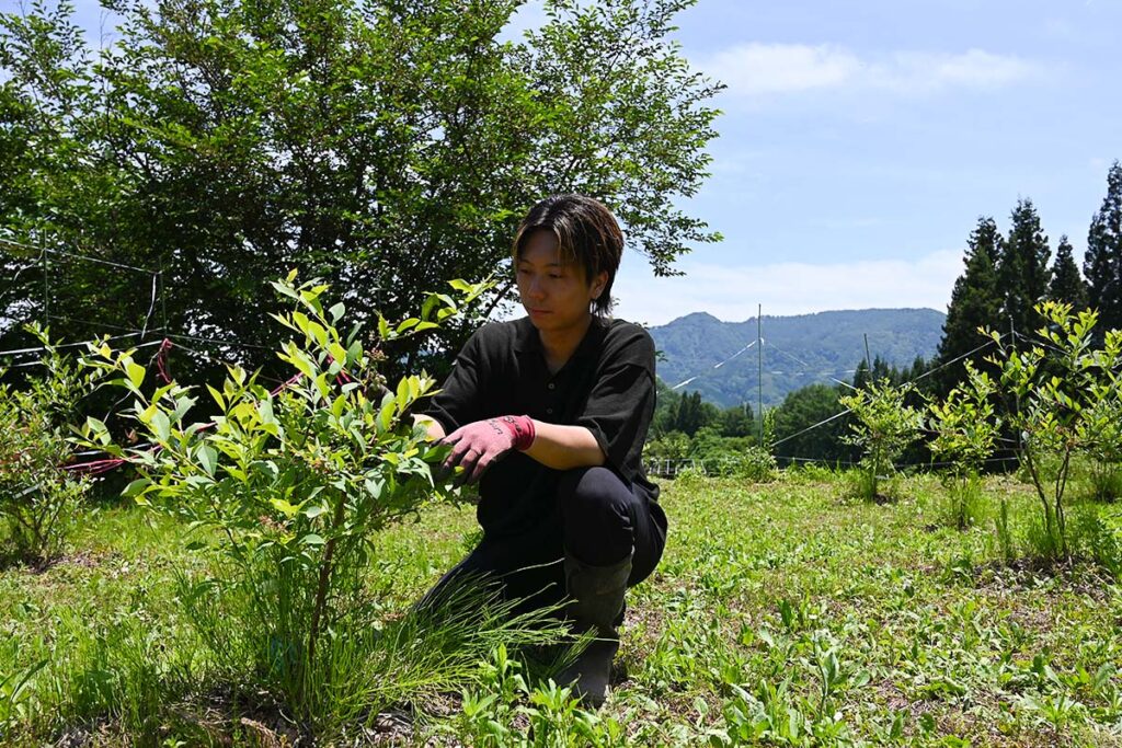 泉屋ファームの歴史